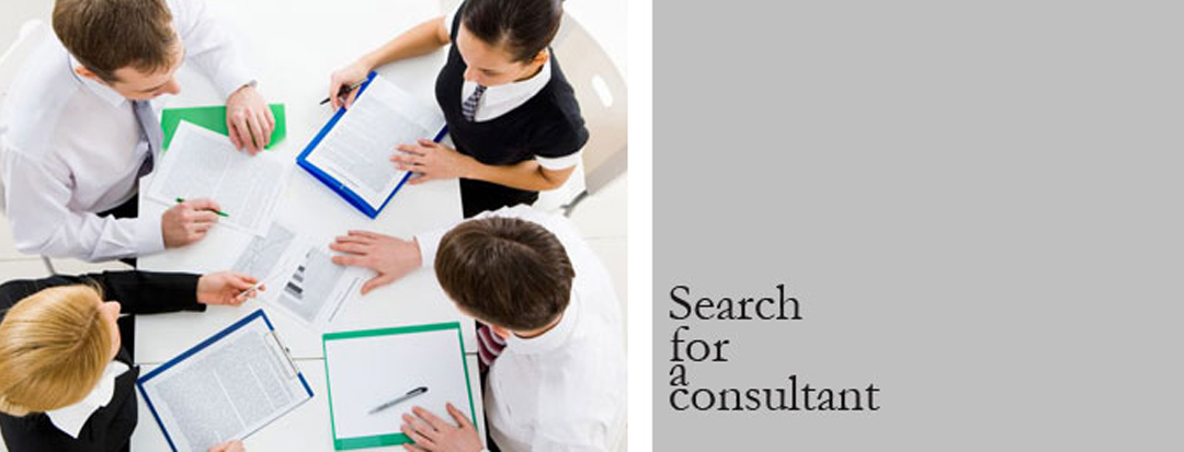 search for a consultant