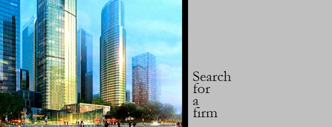 search for a consulting firm